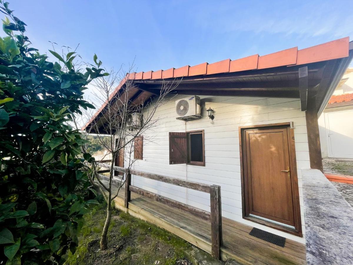 Jantesta Guest House Coimbra Zewnętrze zdjęcie